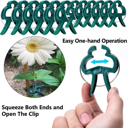 Plant Fixed Clips Reusable Greenhouse Bracket forFixing Stems of Flower Vine Vegetables Tomatoes Fastener Garden Supplies by zapcart