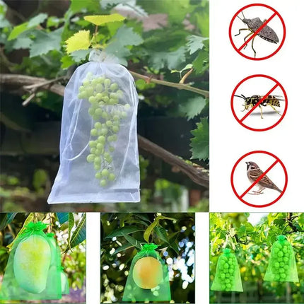 50/100pcs Grape Protection Bag Grow Bag Mesh Fruit Pest Control Products Breathable Gauze Strawberry Seedling Bags Organza by zapcart