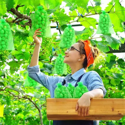 50/100pcs Grape Protection Bag Grow Bag Mesh Fruit Pest Control Products Breathable Gauze Strawberry Seedling Bags Organza by zapcart