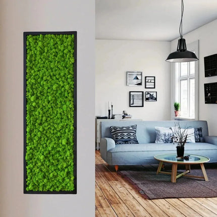 Artificial Green Plants Eternal Life Moss DIY Crafts Grass Garden Home Room Decor Mini Landscape Fake Grass 50/100/200g by zapcart