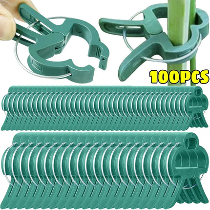 Plant Fixed Clips Reusable Greenhouse Bracket forFixing Stems of Flower Vine Vegetables Tomatoes Fastener Garden Supplies by zapcart