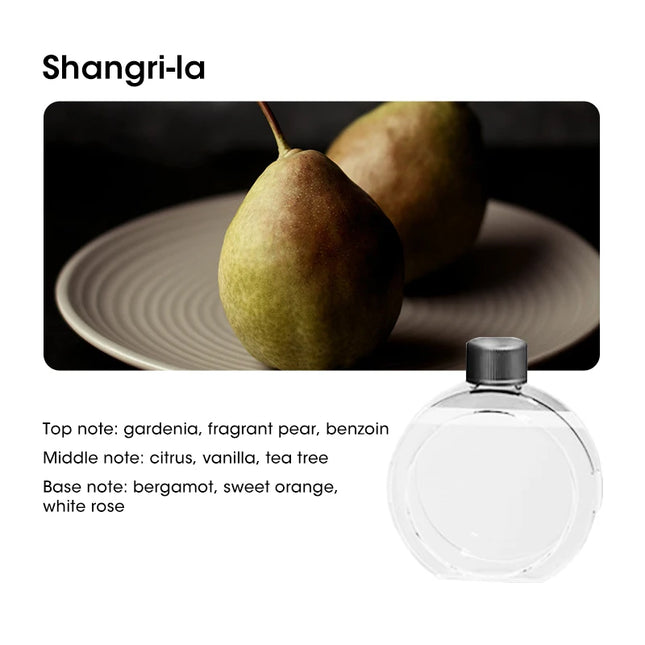 USB Smart Aromatherapy Diffuser Desktop Air Purifier with Display for Home Car Bathroom Deodorization Shangri-La by zapcart