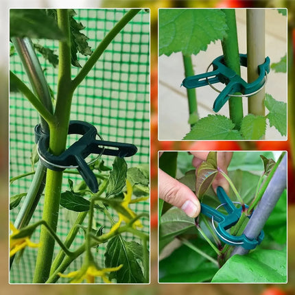 Plant Fixed Clips Reusable Greenhouse Bracket forFixing Stems of Flower Vine Vegetables Tomatoes Fastener Garden Supplies by zapcart