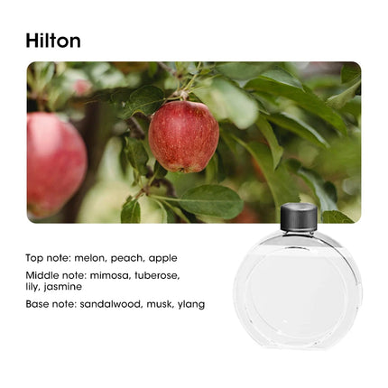 USB Smart Aromatherapy Diffuser Desktop Air Purifier with Display for Home Car Bathroom Deodorization Shangri-La by zapcart