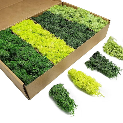 Artificial Green Plants Eternal Life Moss DIY Crafts Grass Garden Home Room Decor Mini Landscape Fake Grass 50/100/200g by zapcart