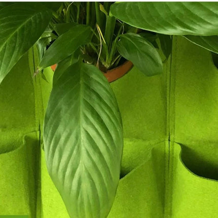 Green Plant Growing Bag Big Size Pockets Planter Vertical Garden Vegetable Living Growing Bags Flowers Supply Garden Planter Bag by zapcart