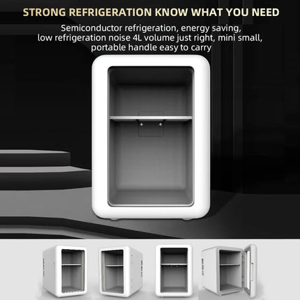 4L Mini Refrigerator Lightweight Design Popular Refrigerator Car Home Hot And Cold Dual-purpose Refrigerator For Camping Travel by zapcart