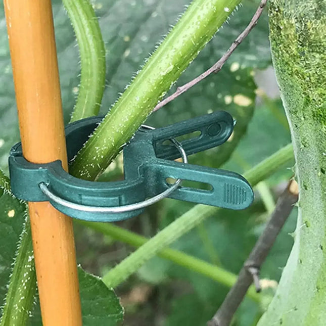 Plant Fixed Clips Reusable Greenhouse Bracket forFixing Stems of Flower Vine Vegetables Tomatoes Fastener Garden Supplies by zapcart