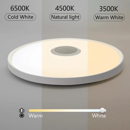 LED Music Ceiling Lights RGB+CW Dimming with Remote Control APP by zapcart