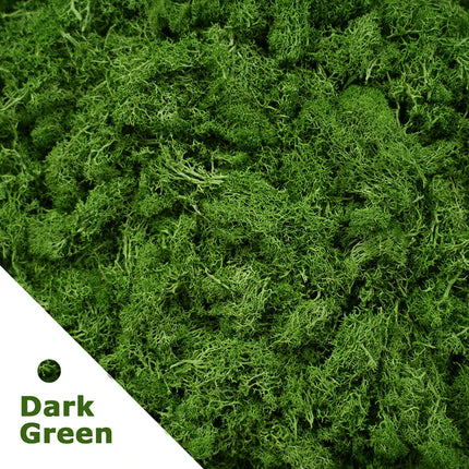 Artificial Green Plants Eternal Life Moss DIY Crafts Grass Garden Home Room Decor Mini Landscape Fake Grass 50/100/200g by zapcart