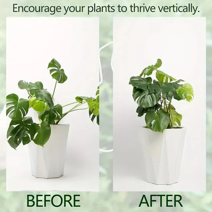 1Pc Large Monstera Plant Support Frame Sturdy Climbing Stems Leaf Stabilizer Outdoor Use for Tall Houseplant Hanging Plant Stand by zapcart