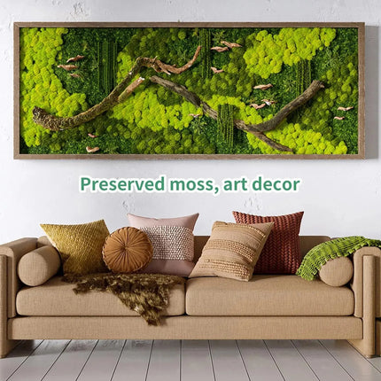 Artificial Green Plants Eternal Life Moss DIY Crafts Grass Garden Home Room Decor Mini Landscape Fake Grass 50/100/200g by zapcart