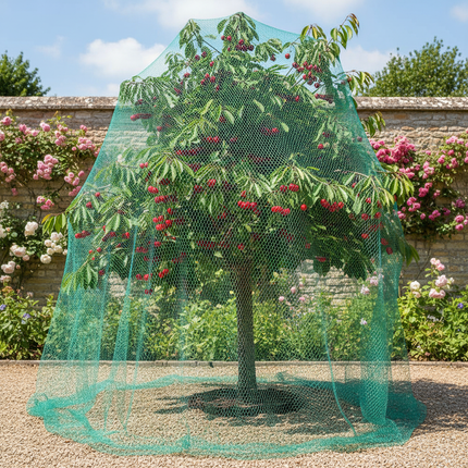 Anti Bird Net – Cherry Tree Walled Garden