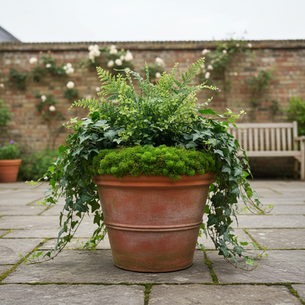 Artificial Moss – British Lifestyle 4