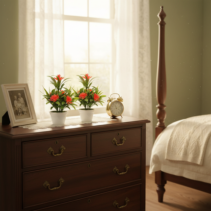 Bedroom Dresser