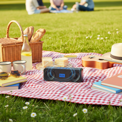Black S18 Bluetooth speaker at British garden picnic