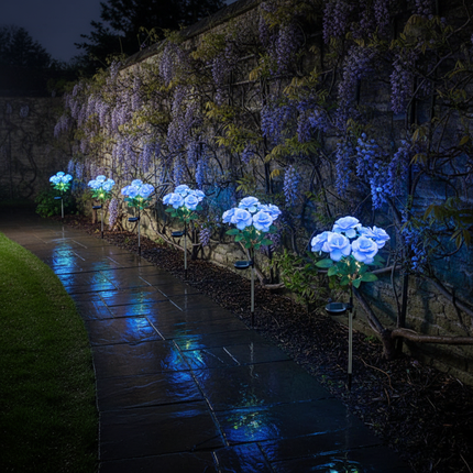Blue Rose Lights Wisteria