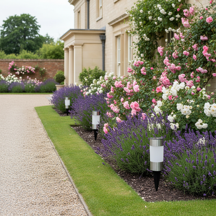 British Driveway Lavender Garden