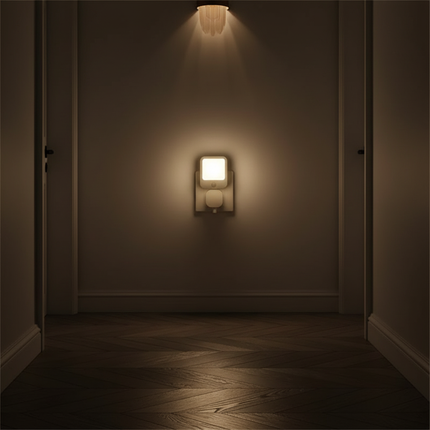 EU White Hallway