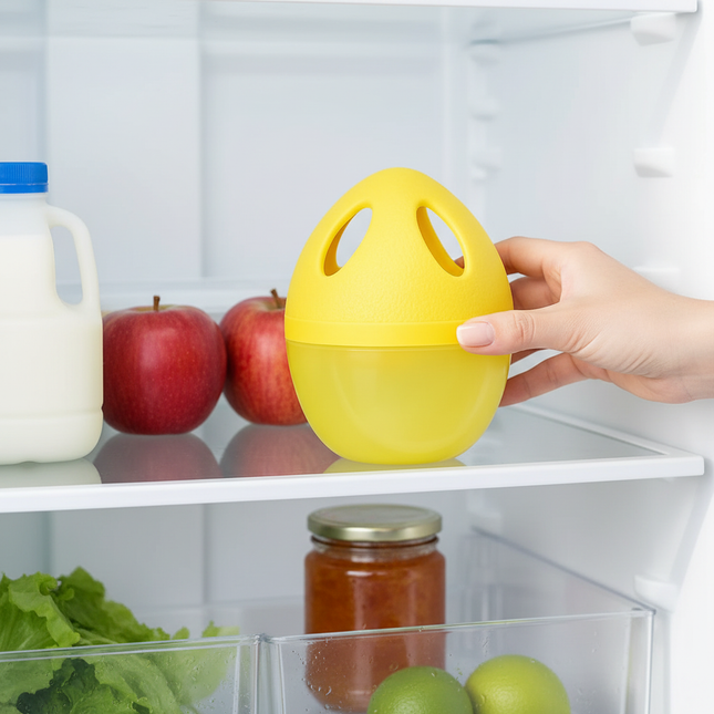 Fridge Egg Deodorizer 1