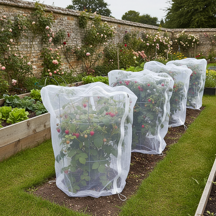 Garden Netting – Raspberry Canes