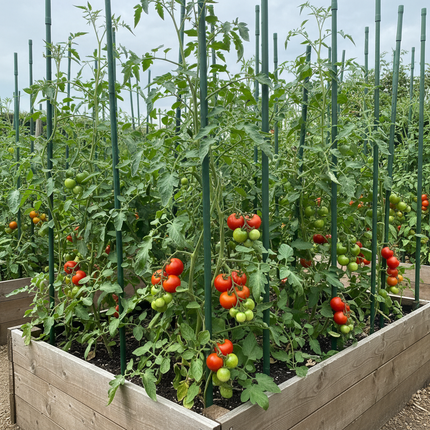 Garden Stakes – Tomato Plants