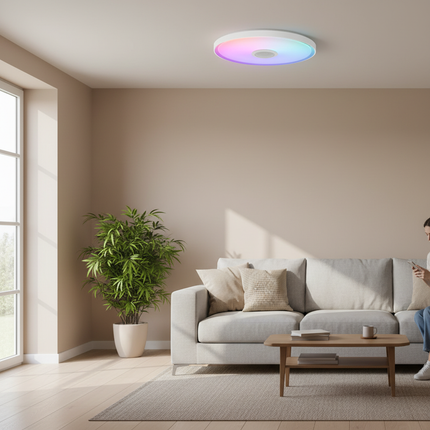 LED Ceiling Light 1