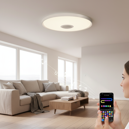 LED Ceiling Light 2