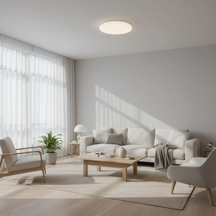 LED Ceiling Light 2