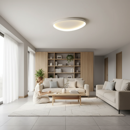 LED Ceiling Light 5