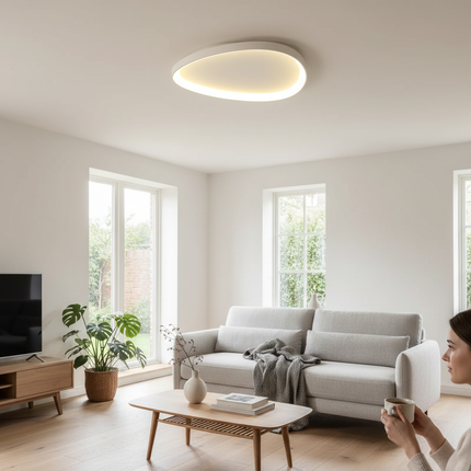 LED Ceiling Light 5