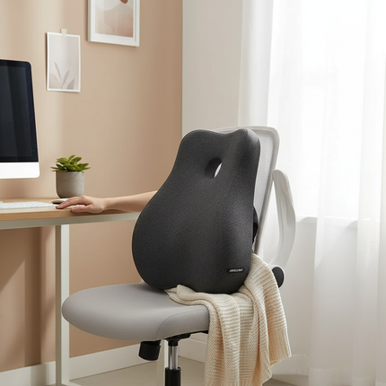 Lumbar Cushion 3