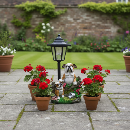 Orange Dog – English Patio