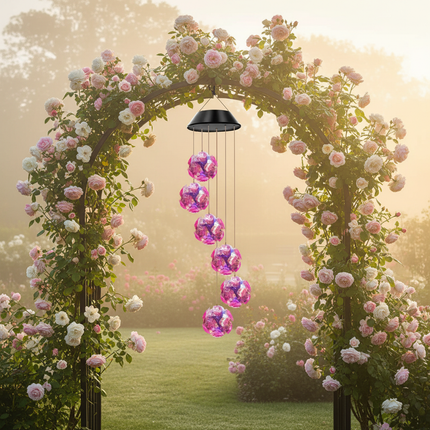Rose Arch Morning