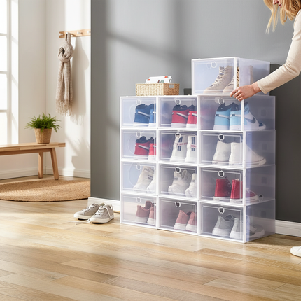 Shoe Storage Box 9