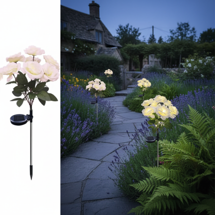 White Rose Lights Pathway